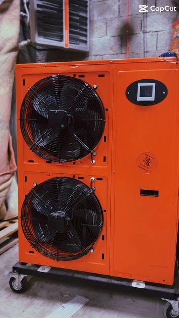 Как правильно организовать процесс сушки ковров