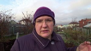 Что, как и когда посеять под зиму