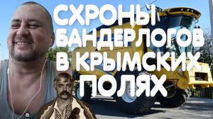 Азовское море гибнет от медуз.ДЕШЕВОЙ ЗЕМЛИ НЕТ.ЖДУНЫ ФЕРМЕРЫ. КРЫМЧАНИН НА СВЯЗИ