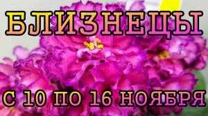 БЛИЗНЕЦЫ таро прогноз на неделю с 10 по 16 НОЯБРЯ 2025 года.