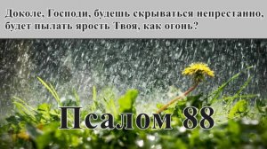 88 псалом с толкованием. Когда все рушится, вопреки пророчествам.