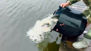 7 ноября 2025-11-07 в 09.42.09_3f7975a8