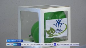 Салаирские школьники узнали, как тургеневские «Отцы и дети» связаны с проблемами экологии