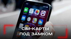 Телефон замолчит на сутки: неожиданные последствия нового правила для российских SIM-карт