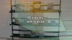 «Илмуну жолунда». («Путь в науке»)