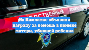 На Камчатке объявили награду за помощь в поимке матери, убившей ребенка