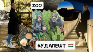 Наши будни в Будапеште 🇭🇺 Покупки, прогулки и день в зоопарке 🦓🐘