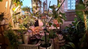 Было - стало..