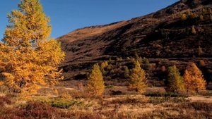 7 ноября - Судьбоносное послание доя каждого знака зодиака.