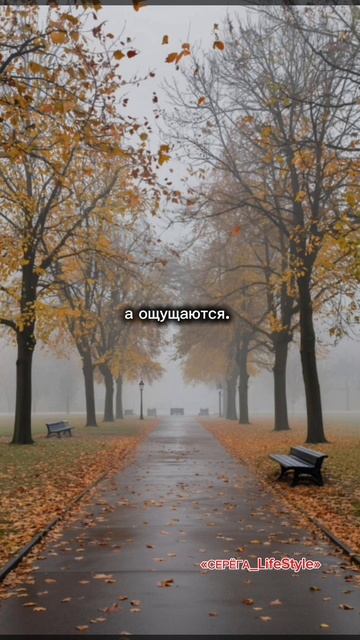 О чем нужно молчать даже тогда, когда очень хочется рассказать.