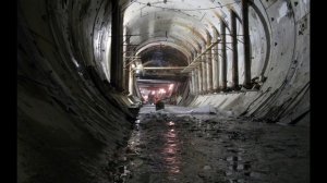 "В ПИТЕРЕ - ЖИТЬ"??!