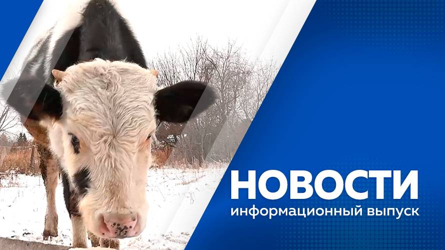 Новости 06.11.2025г