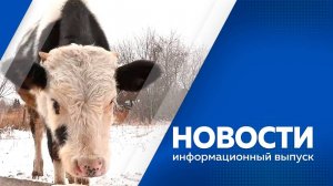 Новости 06.11.2025г