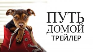 Путь домой ( 2019 ) - Трейлер