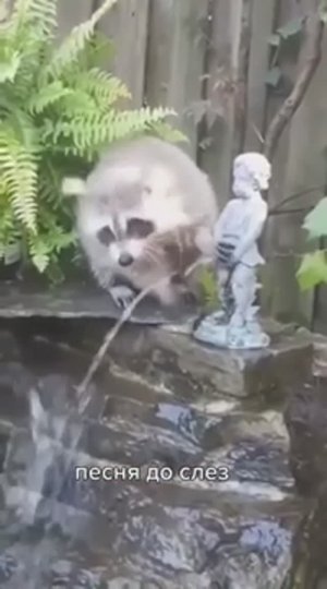 Доброта спасёт мир