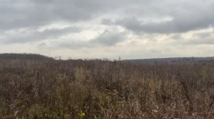 д Перхурово ул Садовая