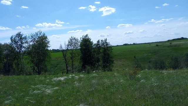 Исчезнувший поселок Трехпрудный (левый берег), Турковский район