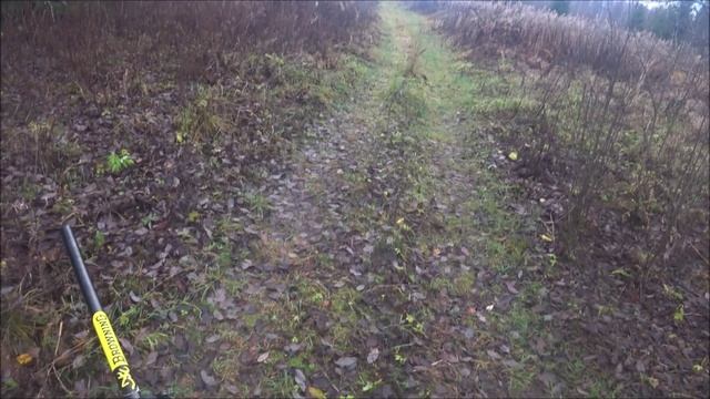 Охота на зайца с гончими. Промах. Выезд 7.11.2025г. смотреть онлайн