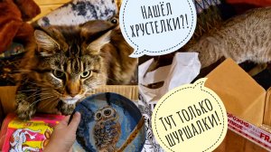 Кошка Морошка и Треугольный кот помогают с распаковкой посылки из Питера. Кот Марсель не чудовище!
