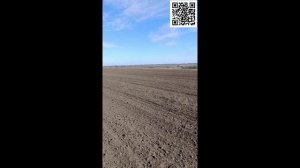 Осенняя посевная 2025