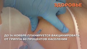До 14 ноября планируется вакцинировать от гриппа 60 процентов населения