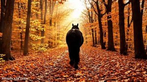 🔴 СРОЧНО ИЩИТЕ НАУШНИКИ! ФАНТАСТИЧЕСКИ КРАСИВЫЕ И ЛУЧШИЕ ТРЕКИ ДЛЯ ДУШИ ▶️ ♫♪♬♪🔥♫♪♬🎤🔊🎧