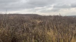 д Перхурово ул Садовая