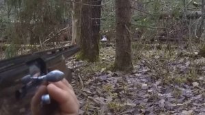 Охота на зайца 02.11.2025. Навестили Зареченских зайцев.