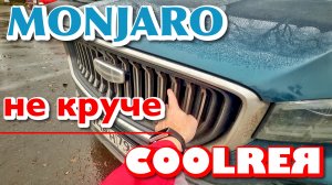 ЧТО НЕ ТАК С ДЖИЛИ МОНЖАРО?