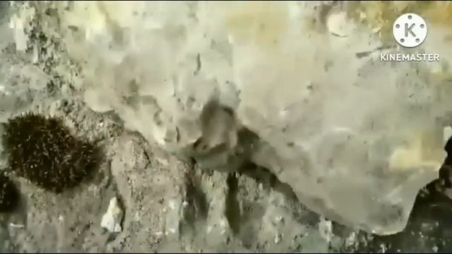 Путешествие во времени... смотреть онлайн