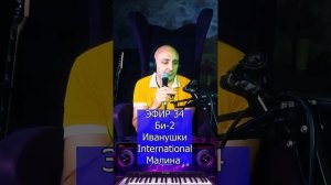 Иванушки International - Малина R Клондайс ЭФИР 34