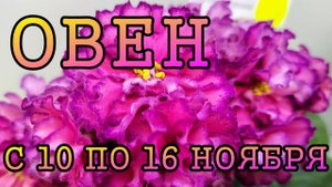 ОВЕН таро прогноз на неделю с 10 по 16 НОЯБРЯ 2025 года.
