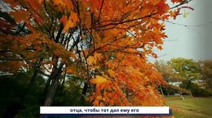 ВСЯ ПРАВДА О СМИРЕНИИ! ТЫ УДИВИШЬСЯ, Как смирение меняет Жизнь - Никон Воробьев