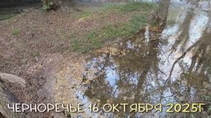 Предместье Севастополя. Черноречье.