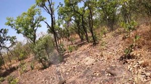 На дальнем.