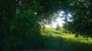 Опустевшее село Моршань (Моршань-Лядовка). Инжавинский район Тамбовский район (2).