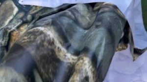 По совету подписчиков приобрела сетку для забора.