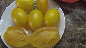 Томат Золотые Гейтса - очень сладкие плоды с мармеладной мякотью. №1101. Обзор сорта и дегустация.