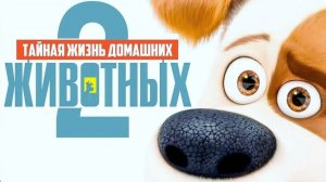 Тайная жизнь домашних животных 2 ( 2019 ) - Трейлер