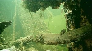 1000004479.mp4Волга гл.2м.07.11.2025г.