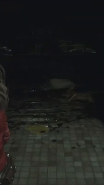 Resident Evil 2 Remake I PC