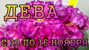 ДЕВА таро прогноз на неделю с 10 по 16 НОЯБРЯ 2025 года.