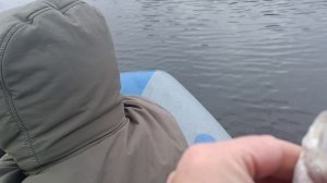 ☑️Поймали все. Осенняя рыбалка на спиннинг