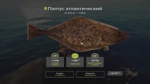 Русская рыбалка 4