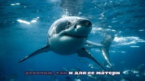 Акула напала на российскую школьницу во время снорклинга на Мальдивах