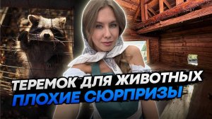 ПЛОХИЕ НОВОСТИ ПРО ТЕРЕМОК ДЛЯ МОИХ ЖИВОТНЫХ, КОТОРЫЙ СТРОЮ СВОИМИ РУКАМИ