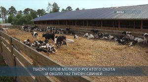 Служба ветеринарии Иркутской области продолжает учет сельхозживотных