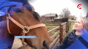 «Барон» села Усть-Алексеево