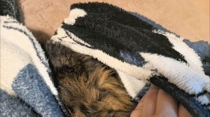 ой ,а кто это у нас