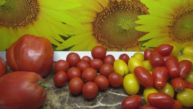 Лучшие засолочные томаты. Томат Знаменитая голландская девушка. №944.Обзор сорта и дегустация.